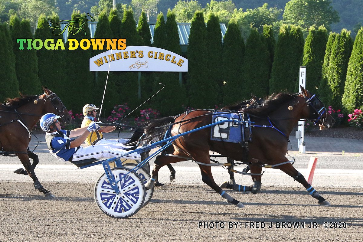 In tonight's Filly and Mare Open (R10) at #TiogaDowns, #2 SHECOULDBEGOOD N narrowly won the photo! 

Trainer: <a href="/RobHarmon1/">Rob Harmon</a> 
Driver: Mike Merton 
1:53.2

Photo Credit: Fred Brown