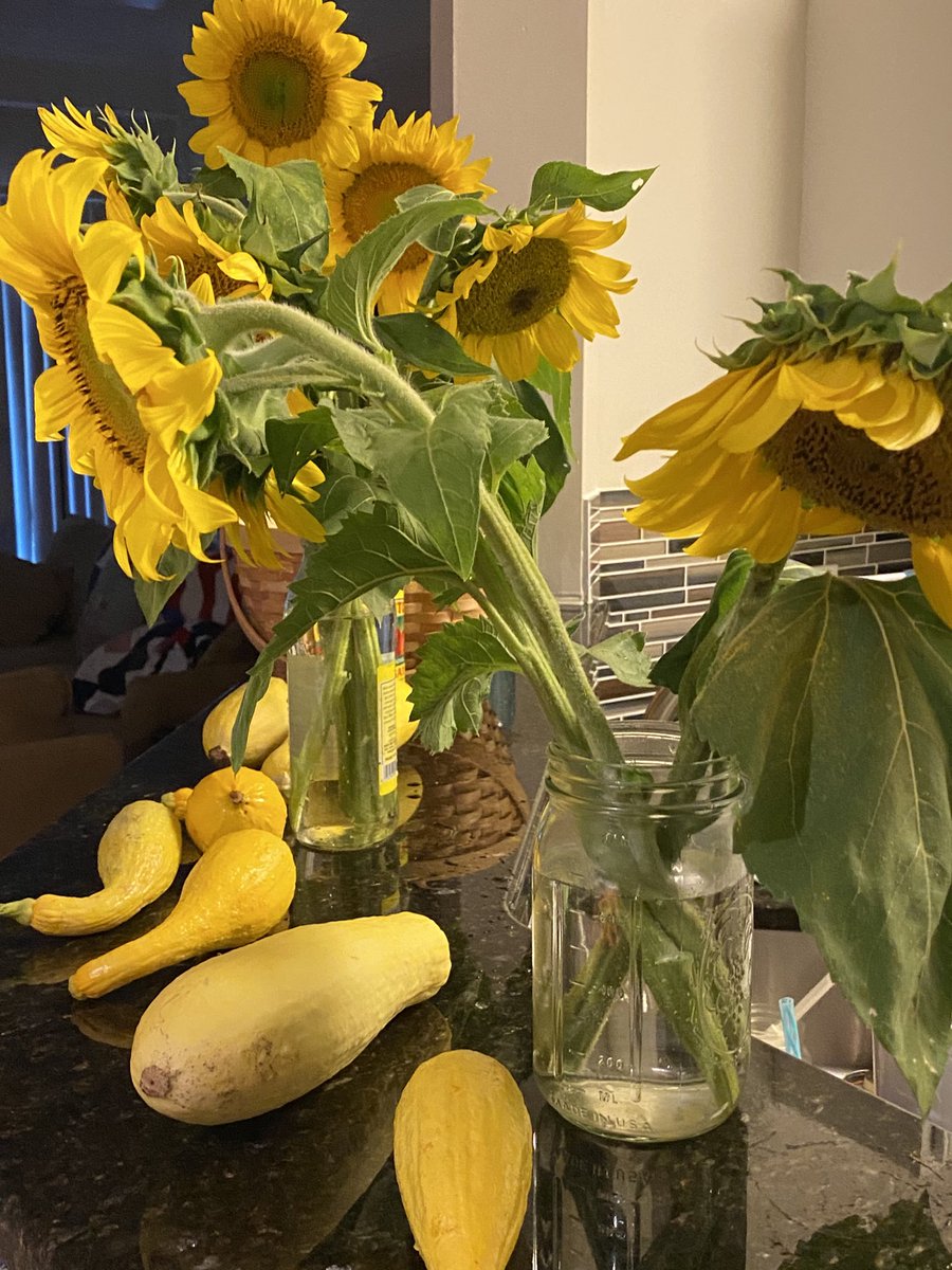 LearningWEase's tweet photo. Sunflowers from a farm off Buffalo in Wendell! Those colors make me smile! https://t.co/2AeOKR75Ih