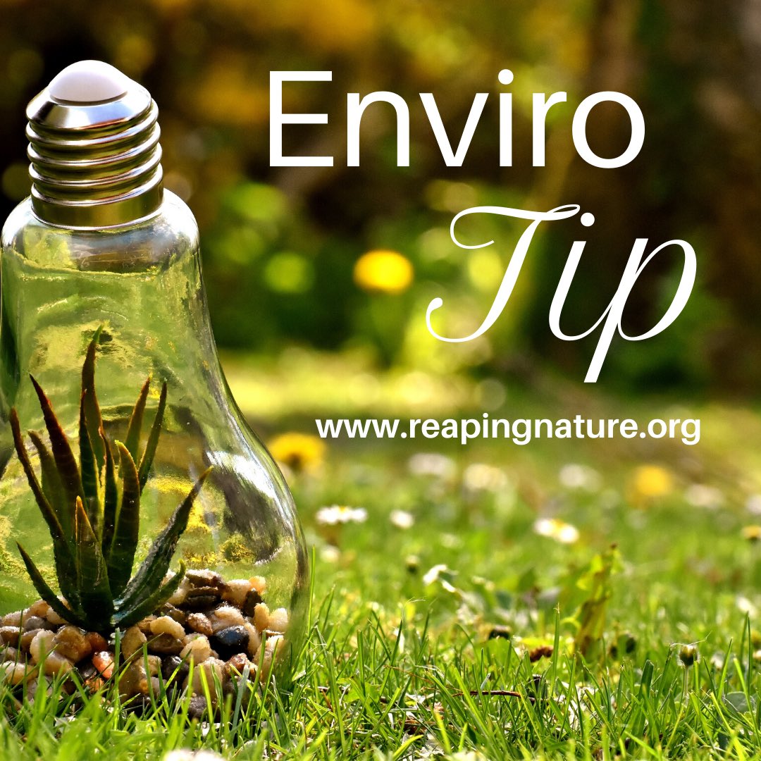 TeacherReuse's tweet image. The EPA estimates that yard waste accounts for 18% of our landfills. Instead of bagging the grass as you mow, leave it on the lawn where it will return valuable nutrients to the lawn, or add clippings to a compost pile instead.
#planetaid 
#environmenttips 
#reducelandfillburdens
