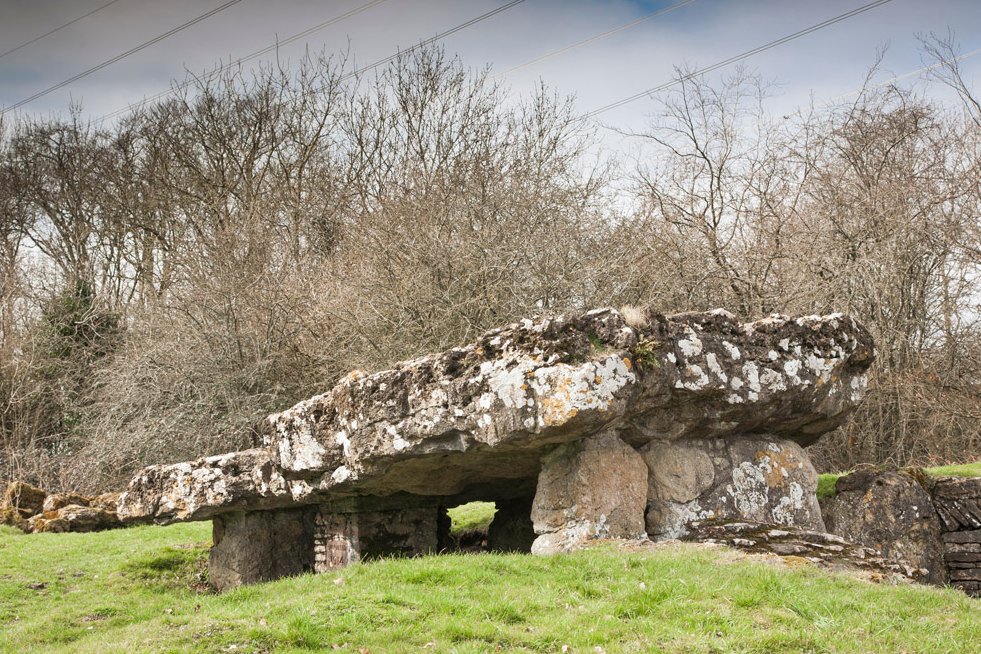Tinkinswood, or to give it its full name, Tinkinswood Burial Chamber, is a Cotswold-Severn chambered tomb in the Vale of Glamorgan. Its Welsh name is Siambr Gladdu Tinkinswood, but it is also known as:• Castell Carreg• Llech-y-Filiast• Maes-y-Filiast• Gwal-y-Filiast