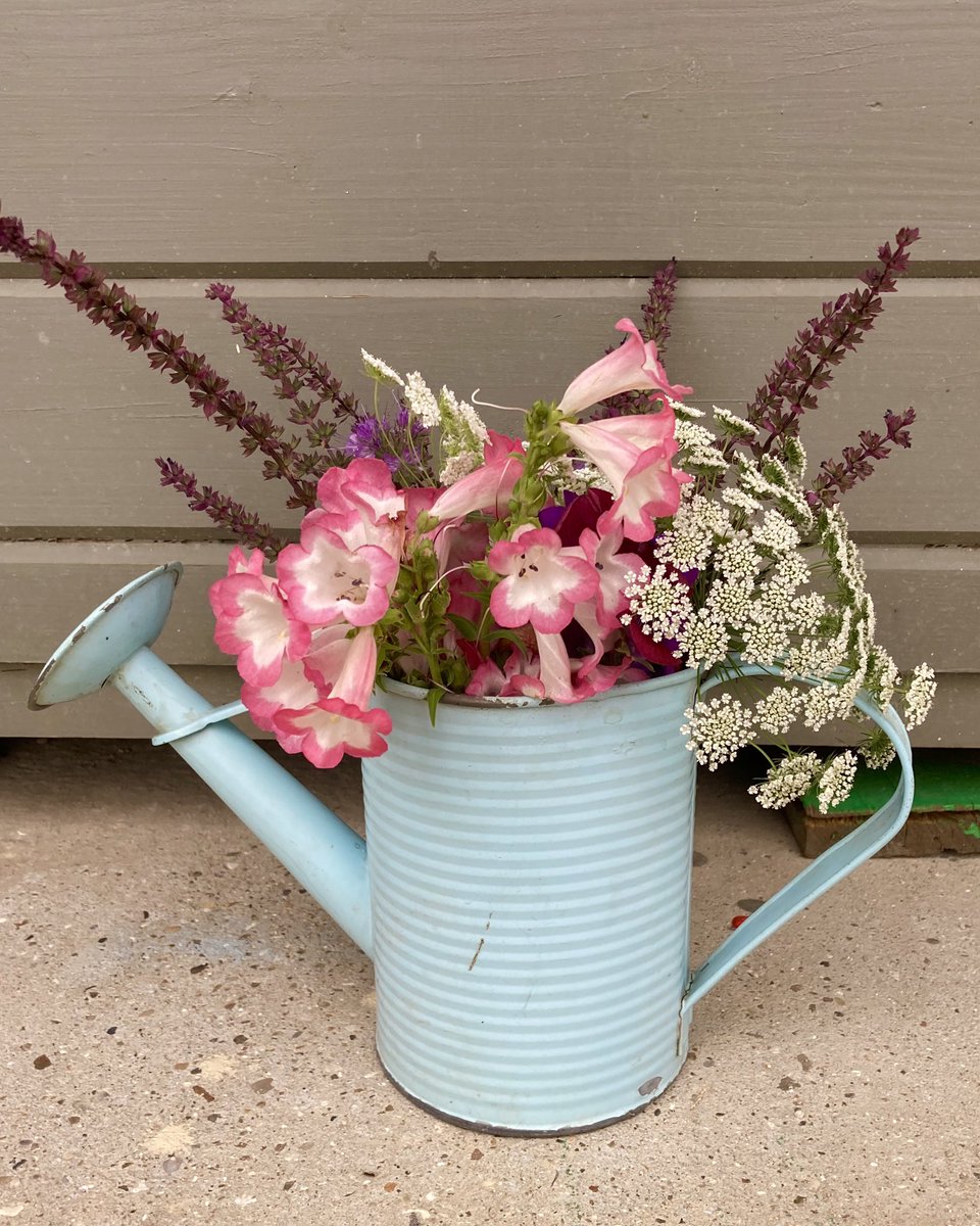 Today’s casualties from deadheading and weeding #wateringcan #nannysgardenworld #blooms #bloom #bouquet #bouquets #bouquetoftheday #bouquetofflowers