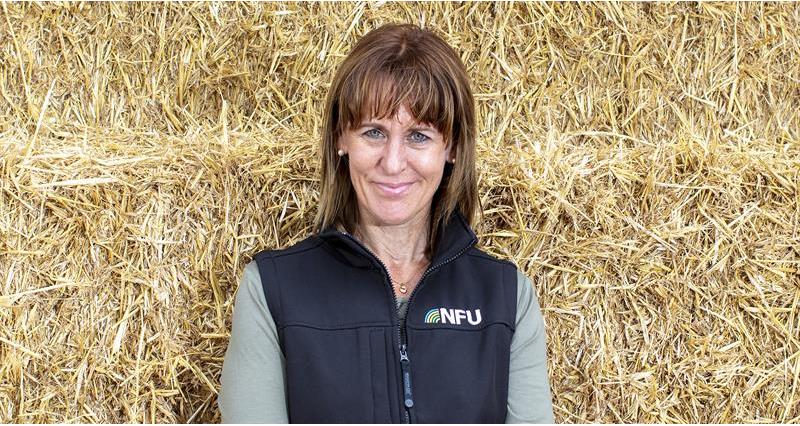INTERVIEW ALERT 🚨 Our President @Minette_Batters will be on @BBCFarmingToday tomorrow morning at 5.45am to give her reaction to the announcement by @trussliz today of a Trade and Agriculture Commission. Listen here: bbc.co.uk/sounds/play/li…