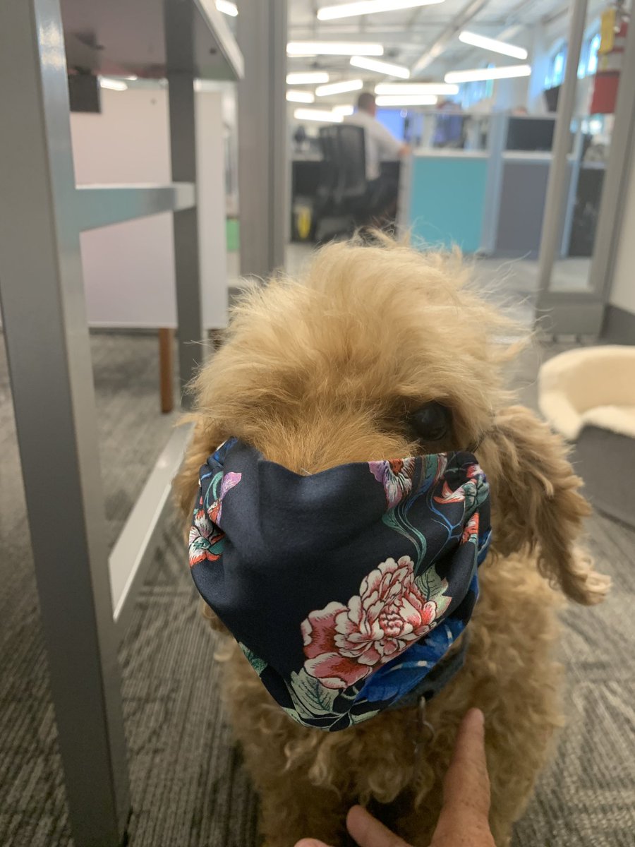Second-in-command of Happiness at Lync may not be pumped about wearing a mask all day, but you can bet he’s still wearing one!