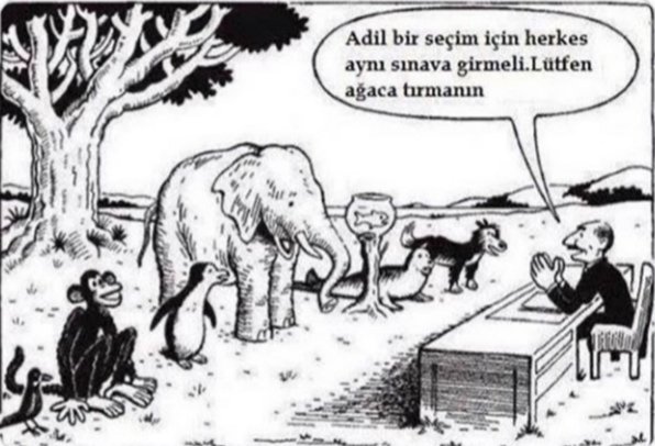 Eğitim sistemi daha iyi anlatılamazdı. 😕