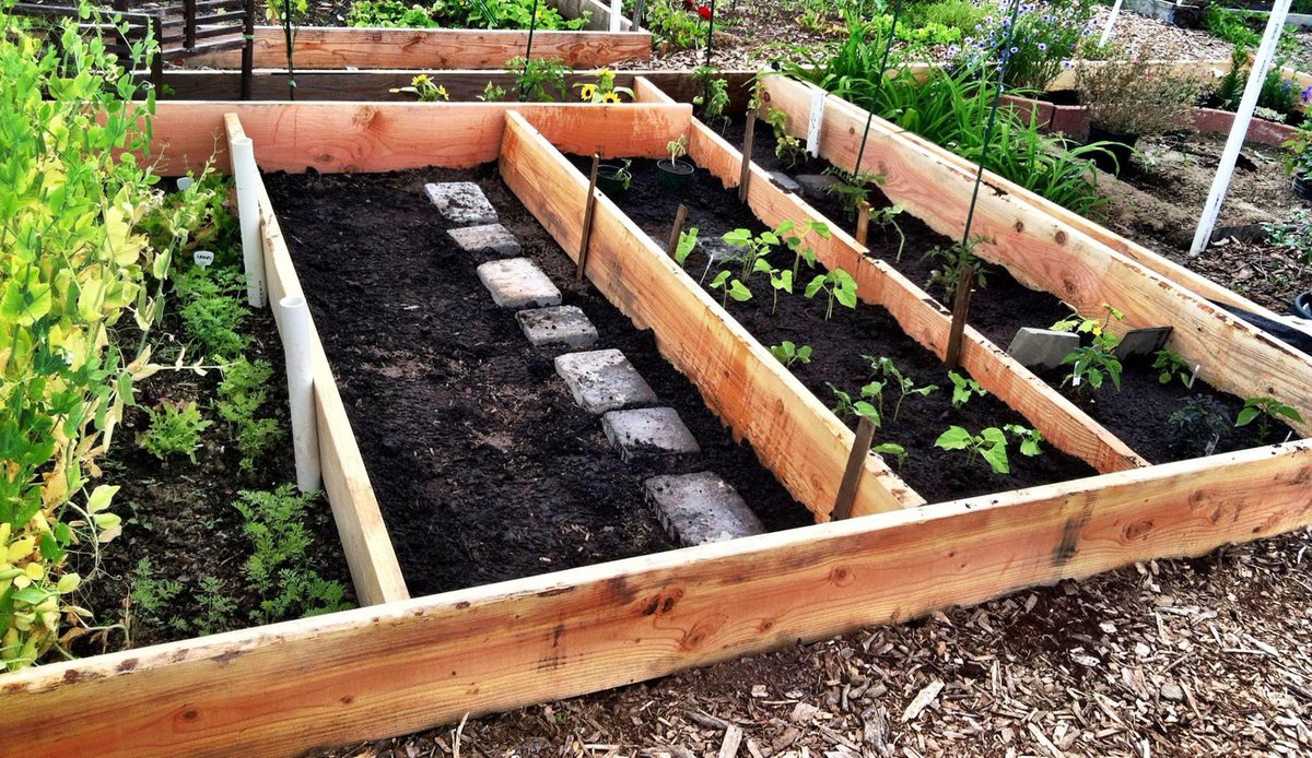 But, lo, I tamed that watery bastard.Hauled in 2,000 pounds of soil one 40-pound bag at a time.Terraced and put in drainage.And then my son and I hit do-over and planted stuff again.12/