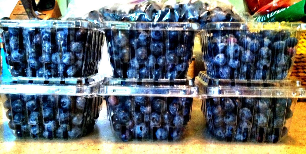 ...especially our blueberries.We named the two bushes McGwire and Sosa because they were flat-out juiced on organic love and care.25 pints off of two bushes.19/