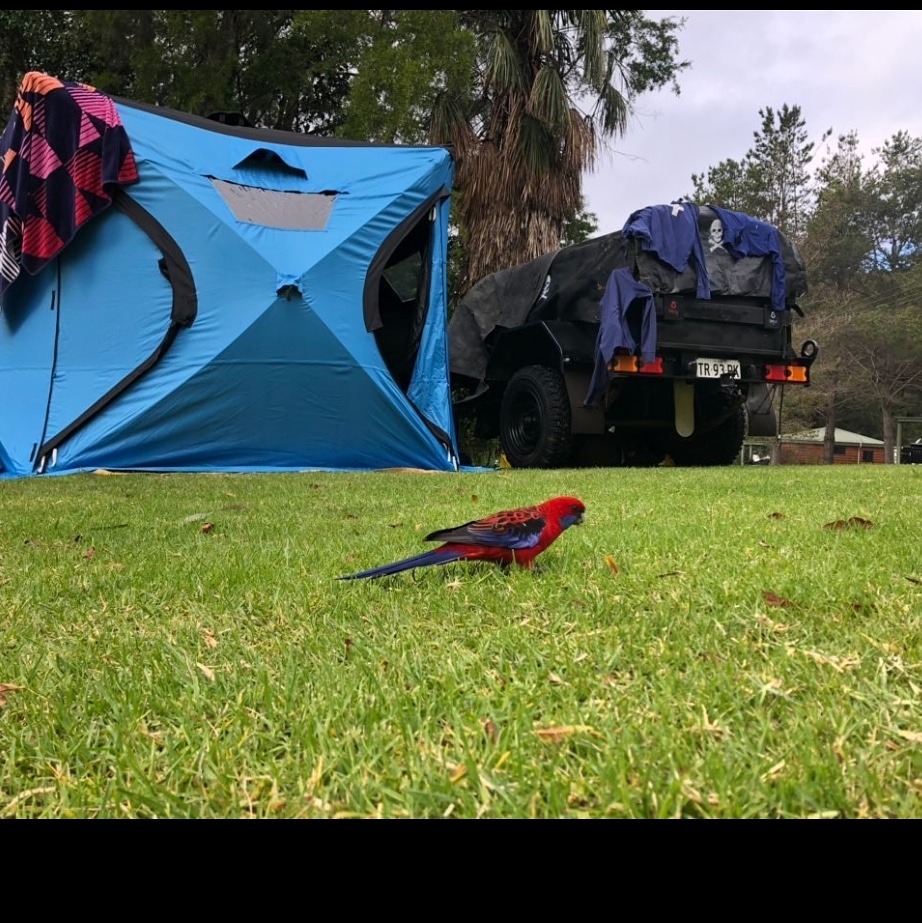 Nice image in from customer today.. #qubetents #qubeit #camping