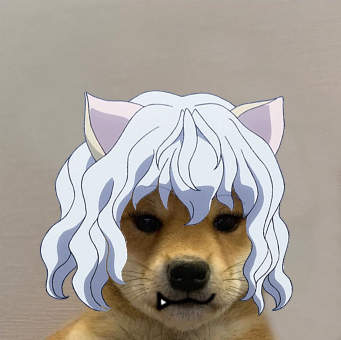 japan aesthetic animemanga tumblr dog dogge  Aesthetic Animals HD  Png Download  731x7264113978  PngFind