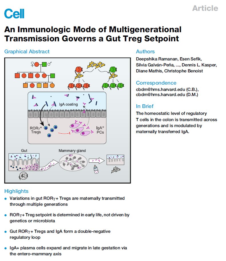 Great journal club by  @basbees on this paper by  @ShikaRamanan et al.  https://doi.org/10.1016/j.cell.2020.04.030Multiple  results: 1/n1) Cross-fostering experiments (did I mention I  these?!) show immune phenotype is vertically transferred through MILK (not genetics, epigenetics or microbes)