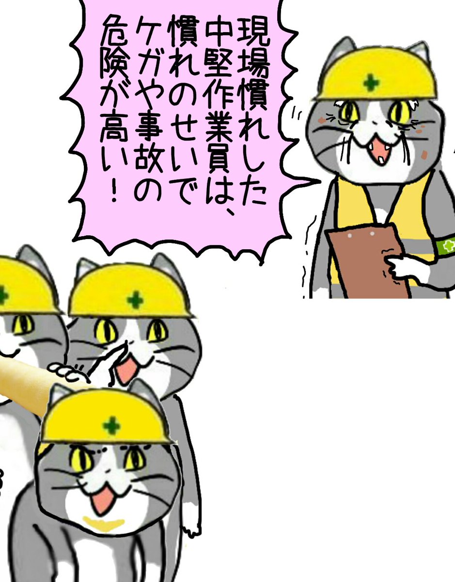 安全な年代は無いんですか…? #現場猫 