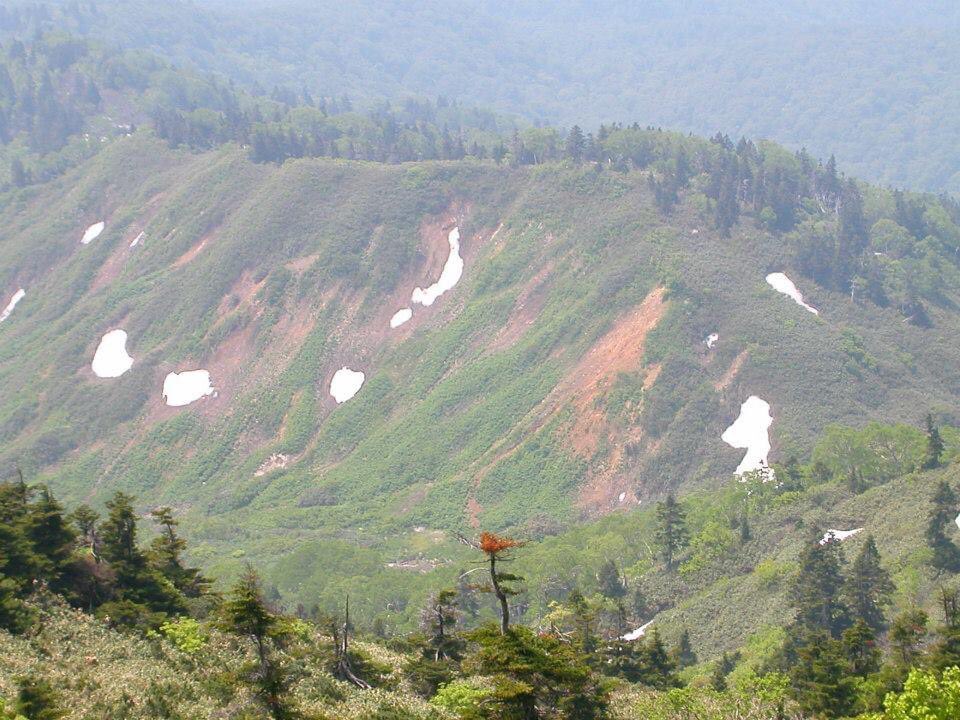 nomsphoto's tweet image. 昔の東北旅行2005
#travel #summerview #sightseeing #東北旅行 #玉川温泉 #八幡平 #大沼