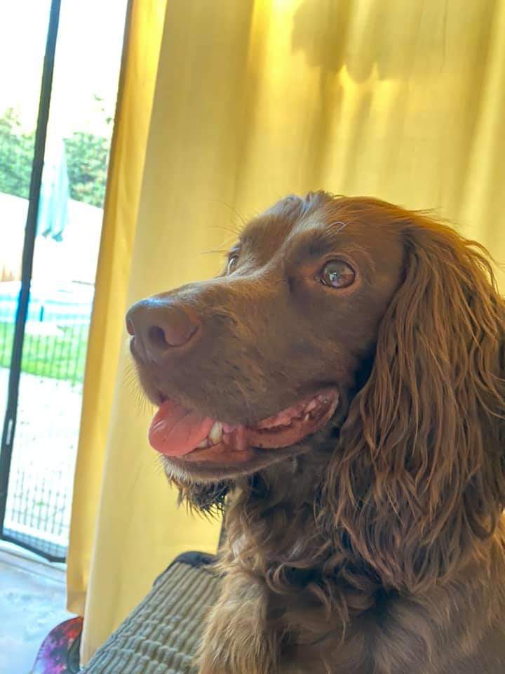 ✨Kate Hepton✨ tweet media