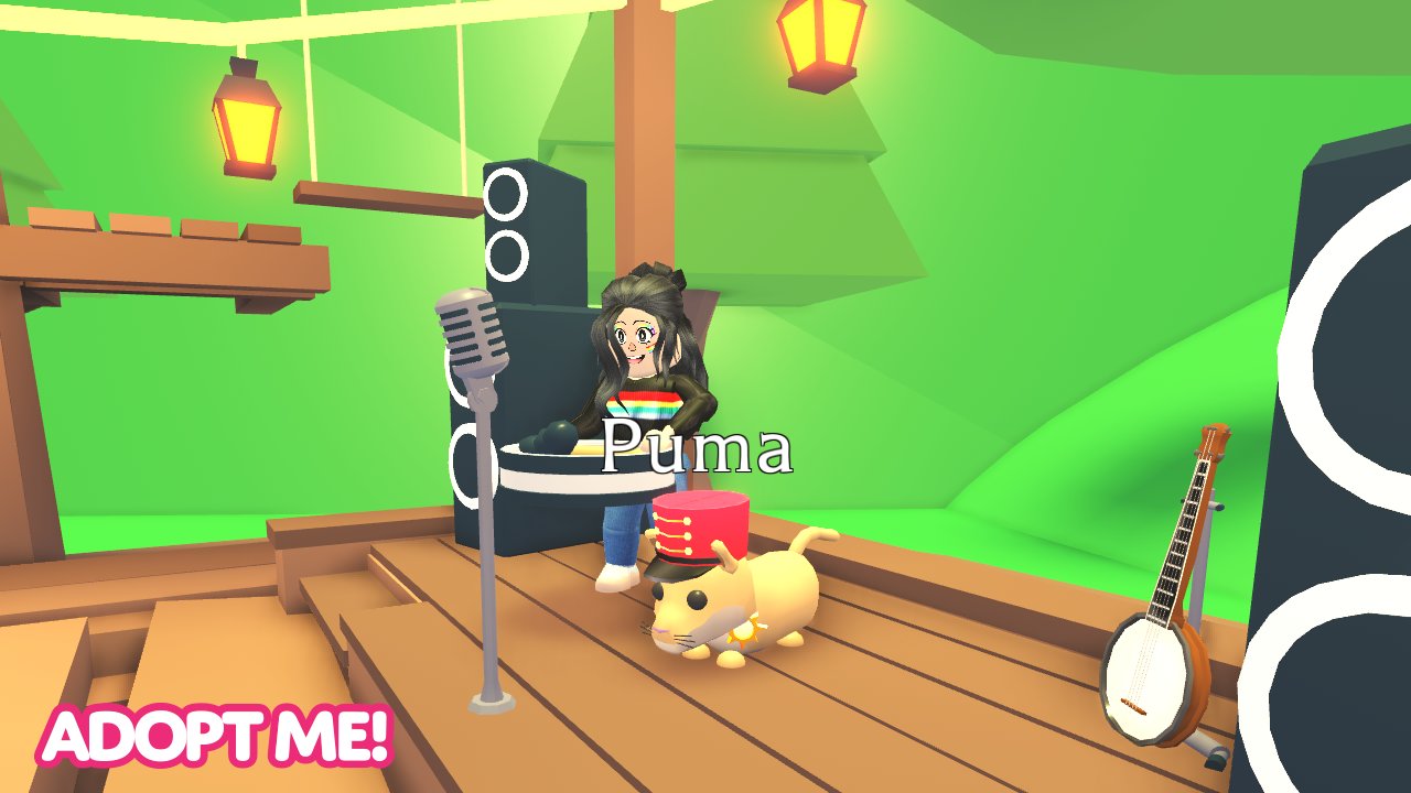 Adopt Me On Twitter We Switched The K9 Hat And Badge For The Marching Band Hat And Star Badge If You Had Them In Your Inventory Before The Change The Accessories Switched - roblox marching animation