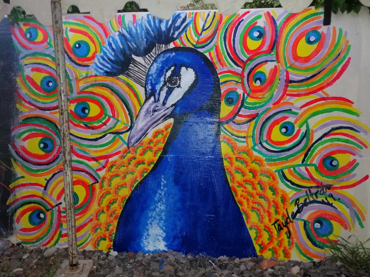 Si alguien va a Topolobampo y se toma foto en el mural que pinté enseguida de Don Gato, mándeme la foto, me harían muy feliz 🤩