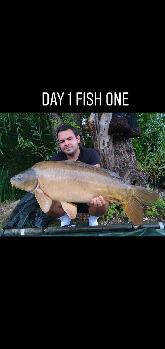 Georgie Wright (@georgiewright_) on Twitter photo 