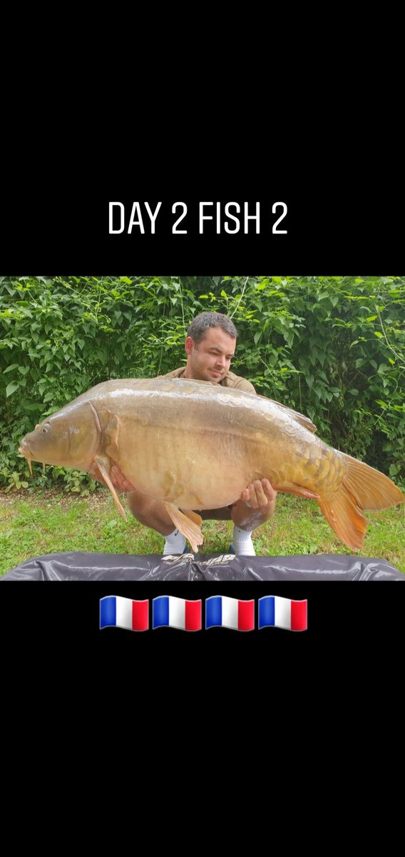 Georgie Wright (@georgiewright_) on Twitter photo 