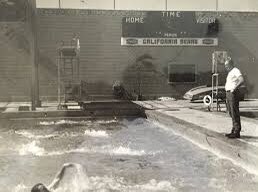 Water Polo Planet tweet media