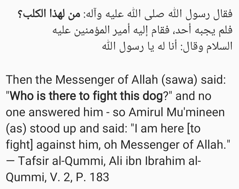 This is an excerpt from a lengthy narration in Tafsir al-Qummi, regarding the battle of Khandaq when Amr bin Abd al-Wud was challenging all the Muslims to a one-on-one duel and boasting of his bravery.The Prophet (sawa) referred to him as a dog, because he is a clear enemy.