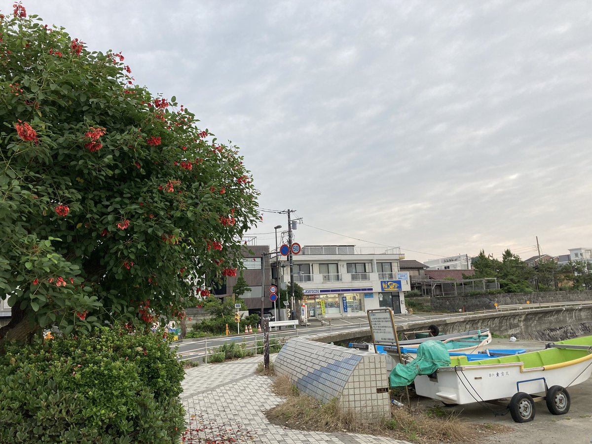 jstbar's tweet image. Ohayooo☺︎☺︎
曇り午後から雨？
6月最後の日。
#cloudymorning #onshorewind #nosurf #love_and_peace #kamakurajapan