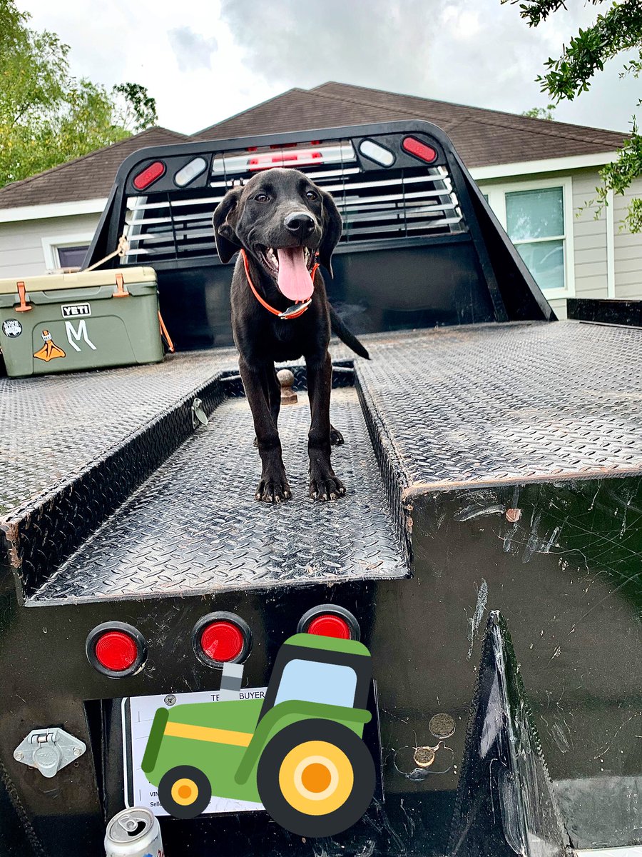 Josies a big fan of dads new truck