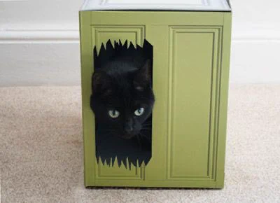 @spacego 猫版シャイニング。みんな、やってみたがるようですねw 