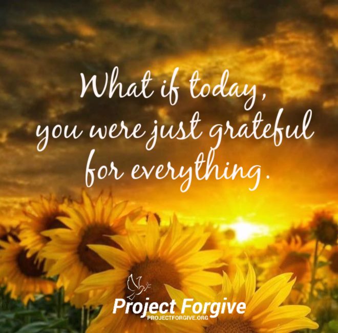 LifeWithJohn's tweet photo. What if today, you were grateful for everything. ~ #Gratitude 🙏🏻 https://t.co/68mlLcCqxe