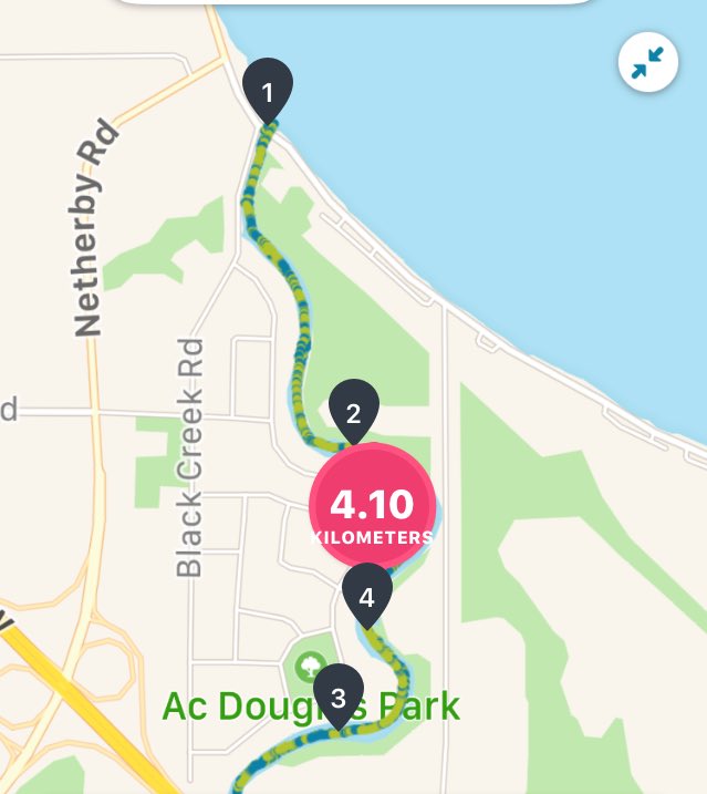 CLMastrandrea's tweet photo. Leg 2: Kayak #Paddle27 km. Black Creek
#EndBrainTumours
Hamilton - Niagara #VirtualBrainTumourWalk 2020.
#3SistersPaddleForHope #TeamAmber
@BrainTumourFdn @SherkTwin @MjChicoski https://t.co/jN6hDDunOy