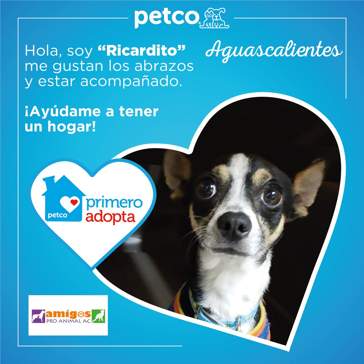 Amigos Pro Animal AC® (@AmigosProAnimal) / Twitter Amigos Pro Animal AC® (@AmigosProAnimal) / Twitter