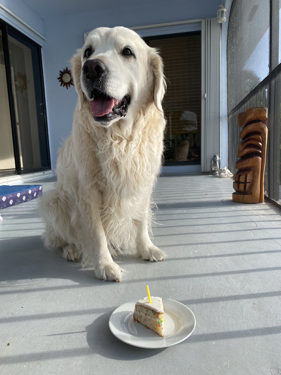 Fortunately, my Chief Brody is an angel and patiently waited for his birthday slice 7/