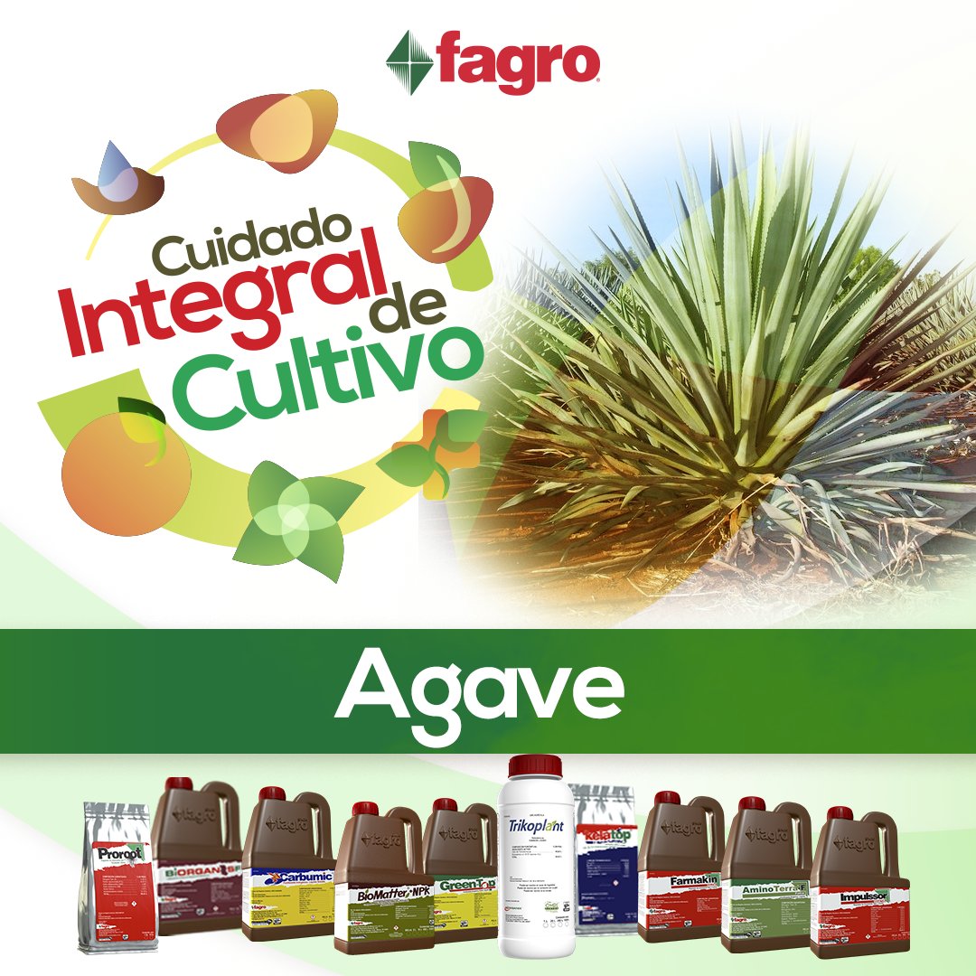 FagroMx's tweet photo. Cuidado integral para tu cultivo.
Más información sobre el cultivo del #Agave en #ElBlogdeFagro ➜ https://t.co/eN5hFgc8QV
Productos Fagro recomendados para el cultivo de agave ➜ https://t.co/4vHvYRQQBI https://t.co/j0YpVbZ2QW