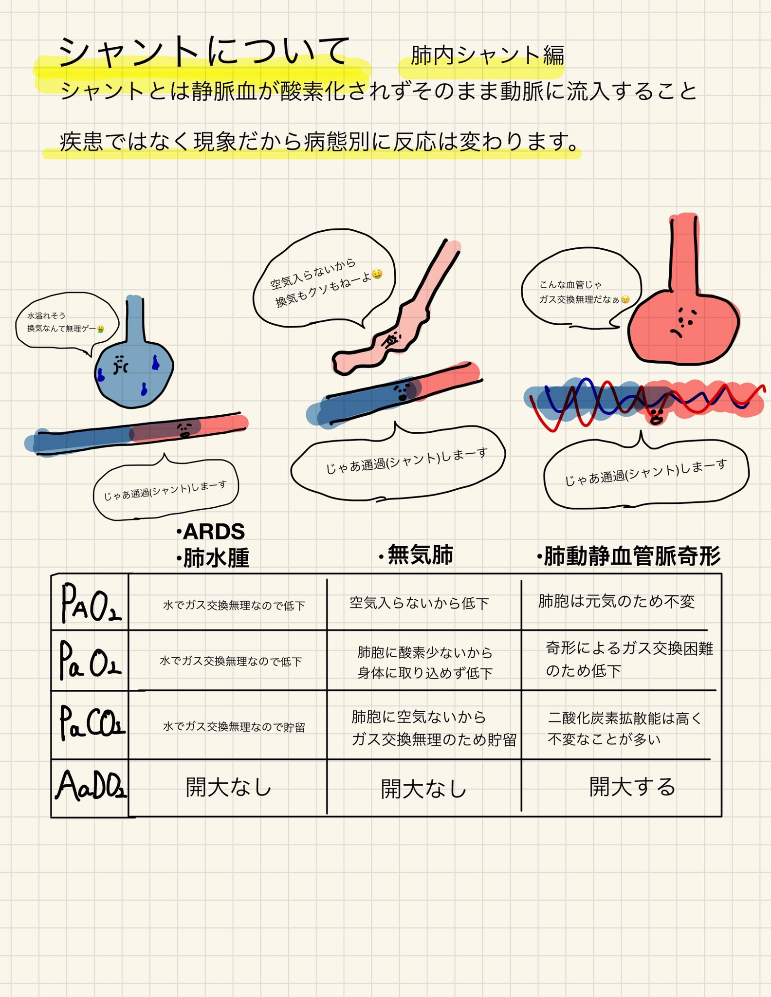 Pt Ponta 呼吸療法認定士対策記事 肺内シャントについてです シャントは肺内で起こるシャントという現象です シャントだから全ての疾患で反応はこうなるんだ って決めつけず病態理解してくださいね 見えにくいですがまとめました 3学会合同呼吸