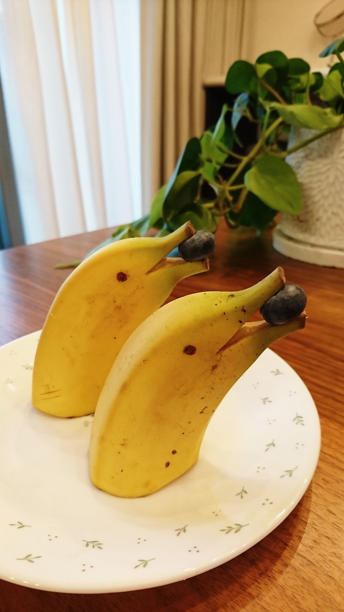 ニック青葉台店 Su Twitter メロンの 飾り切り にチャレンジしました 普通に食べるよりテンション上がります バナナ イルカも簡単で可愛いです メロンバスケット バナナのイルカ T Co H7g91f5y8p Twitter