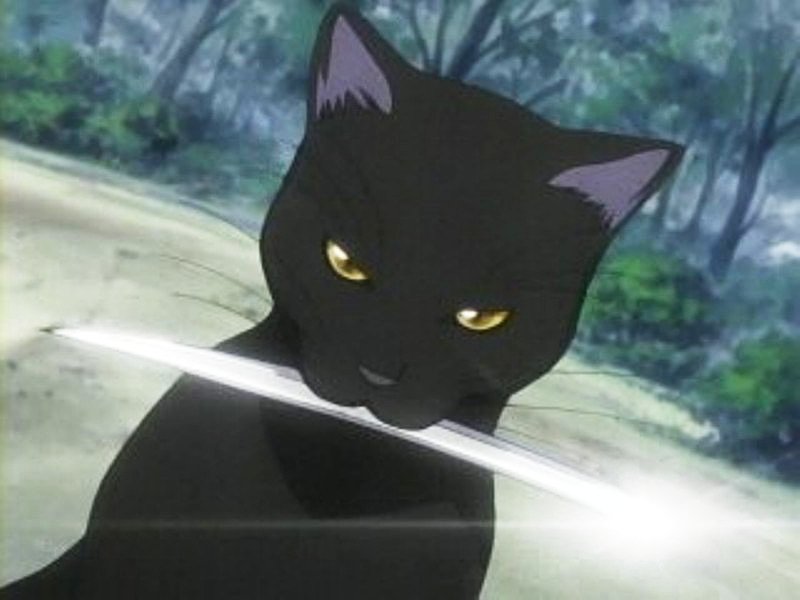 トウカイテイポン クイズ 以下の黒猫 何のアニメに出てて 何て名前だったか答えなさい お刀くわえた黒猫 赤い首輪をしてる黒猫 赤いスカーフをしてる黒猫 花澤