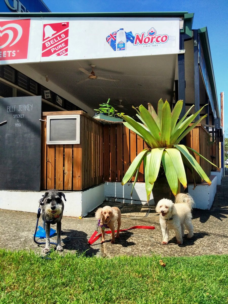 Shoutout to Barry Brothers Butchery, Buladelah and The Blonde Baker on the river at TumbulgumWho's that other dog? That's Frenny.