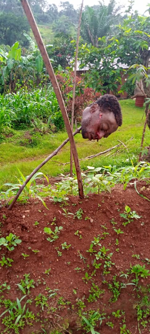 milly4red's tweet photo. #GenocideInSouthernCameroons @AndreaGittleman @NaomiKikoler @HolocaustMuseum This is what the butchers from french Cameroon are doing to #Ambazonians=killing babies/pregnant moms/young kids, beheadings etc.Self defense is our only way to survive, why criminalize it? @nytimes @bbc https://t.co/3yf3H4VelW