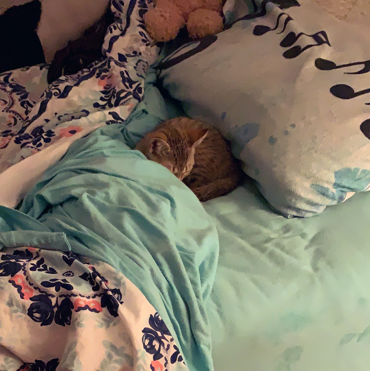 Guess I’ll go sleep on the couch??