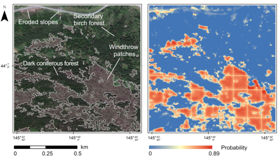 RemoteSens_MDPI's tweet image. Automatic Windthrow Detection Using #VeryHighResolution #Satellite #Imagery and #DeepLearning
by Dmitry E. Kislov and Kirill A. Korznikov
👉mdpi.com/2072-4292/12/7…
#CNN 
#machinelearning
#forestdisturbance
#remotesensing