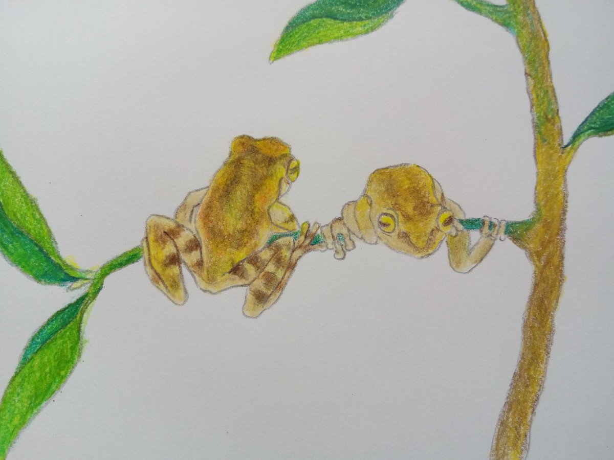 ネットでかえるアート展