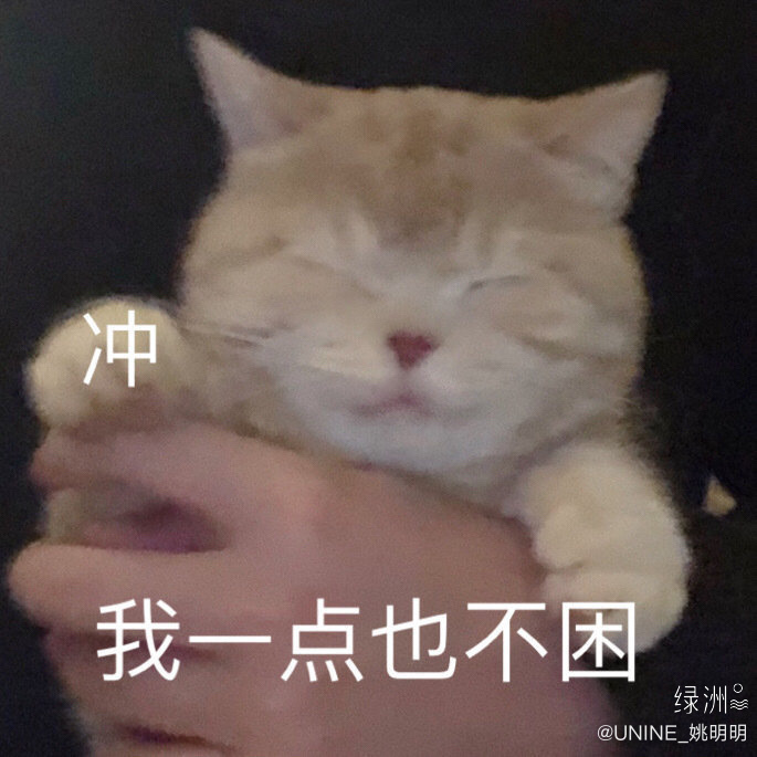 UNINEFAN's tweet photo. 200629 #UNINE
#YaoMingMing #姚明明

[Weibo Update]
รูปเก้าช่องนี่ พอไหมครับ
ผม
เต็ม
ที่
แล้ว
...

(รูปน้องแมว: สู้ ผมไม่ง่วงซักนิด) https://t.co/LPqvfKHej4