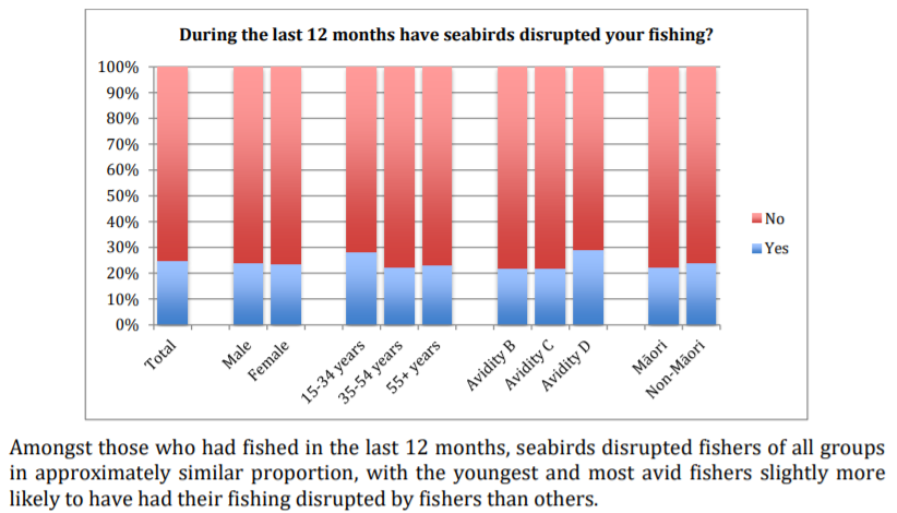 About ¼ of recreational fishers in New Zealand reported seabirds disrupting their fishing over a 12 month period (87,000 interactions). Most of these interactions are probably harmless, but hooked and entangled birds aren't uncommon.