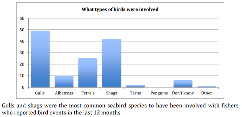 Interactions between recreational fishers and seabirds tend to mainly be with gulls, petrels and shags.