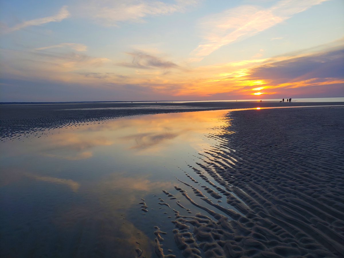 VisitCapeCod's tweet photo. Cherish every sunset. 🙌
#CapeCodLovesYou Photo by Greta Georgieva https://t.co/BbMRbkTY9J