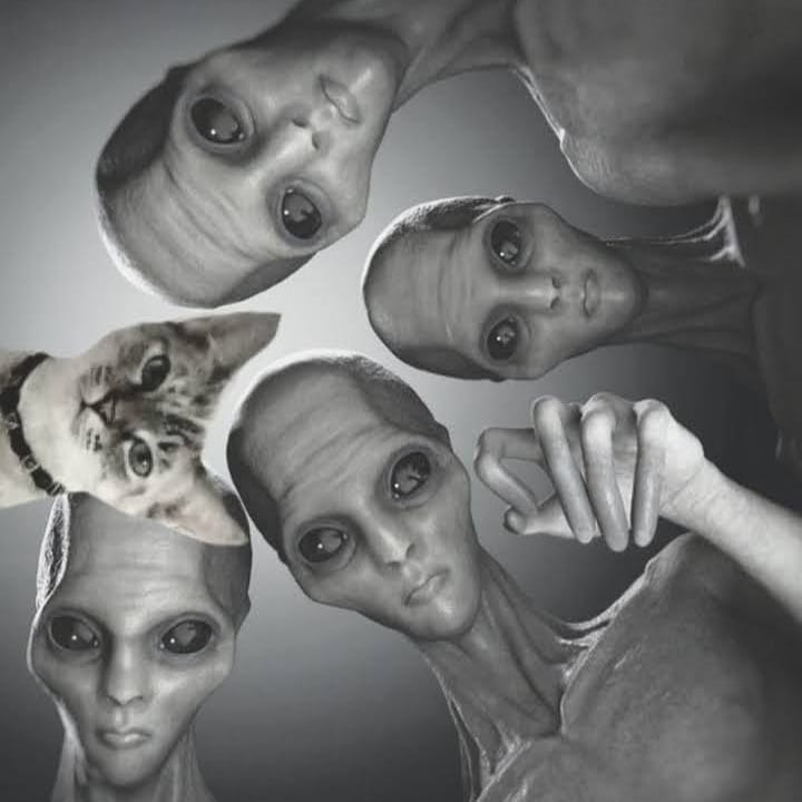 WeedPlay1's tweet photo. #cat #catlover #catlovers #catlove #Gatito #gatitos #MiAmigoSalvaje #miau #Aliens #Aliens2020 #aliensarereal #alienlivesmatter #alieninvasion #love #FriendsForever #Respect #CuarentenaExtendida #Dark #DarkNeftlix #TikTok #ULTIMAHORA #ZonaProhibida #SiguemeYTeSigo 😻👽🌎👏😂❤🎶🌱 https://t.co/OsLLualCov
