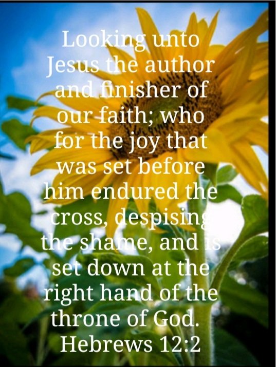 halligperucho's tweet photo. IN JESUS NAME...

#ImProtected 
#ImHealed
#ImProtectwd 
#ImLoved https://t.co/kCxAFTygIC