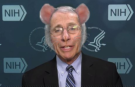 Hadji911_B's tweet photo. @SBSportsDiva @MAGAPATRIOT_TGM @KamalaHarris If the Demorats want you to wear a mask it means you don't need one #RatFinks https://t.co/CNF0bb2OYi