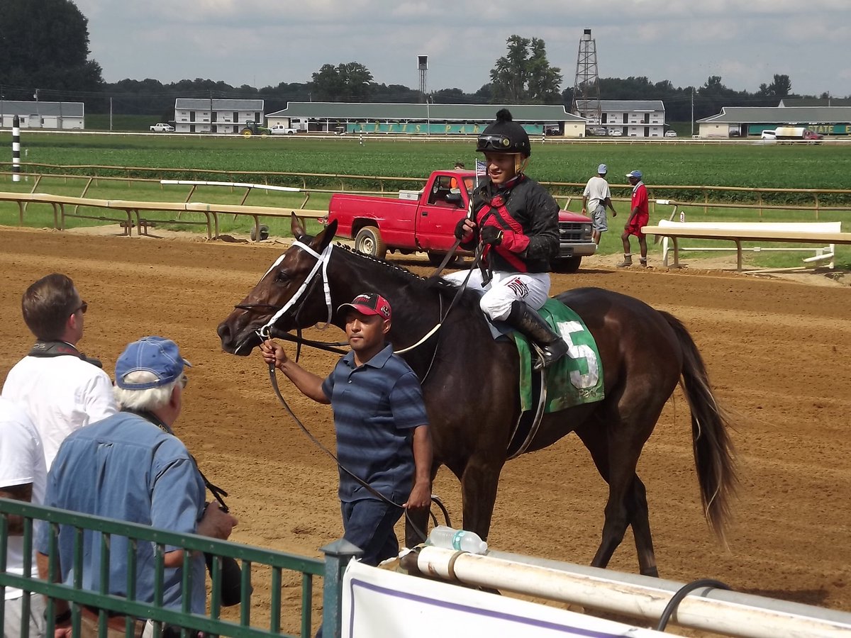 Smac300842's tweet photo. #Lookinatlee left Ellis and the next year in May ran 2nd in the Kentucky Derby. @EllisParkRacing opens Thursday. https://t.co/b2K7ZWF53C
