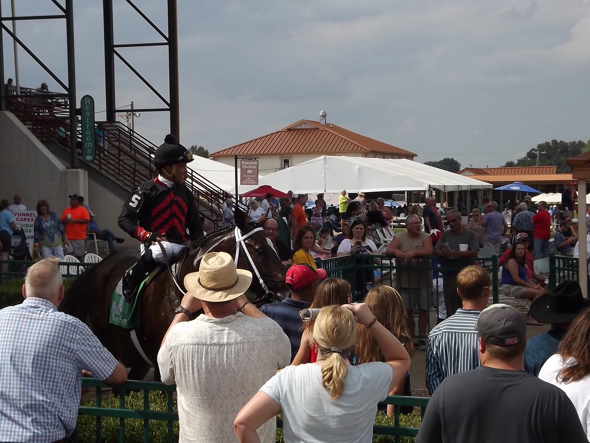 Smac300842's tweet photo. #Lookinatlee left Ellis and the next year in May ran 2nd in the Kentucky Derby. @EllisParkRacing opens Thursday. https://t.co/b2K7ZWF53C