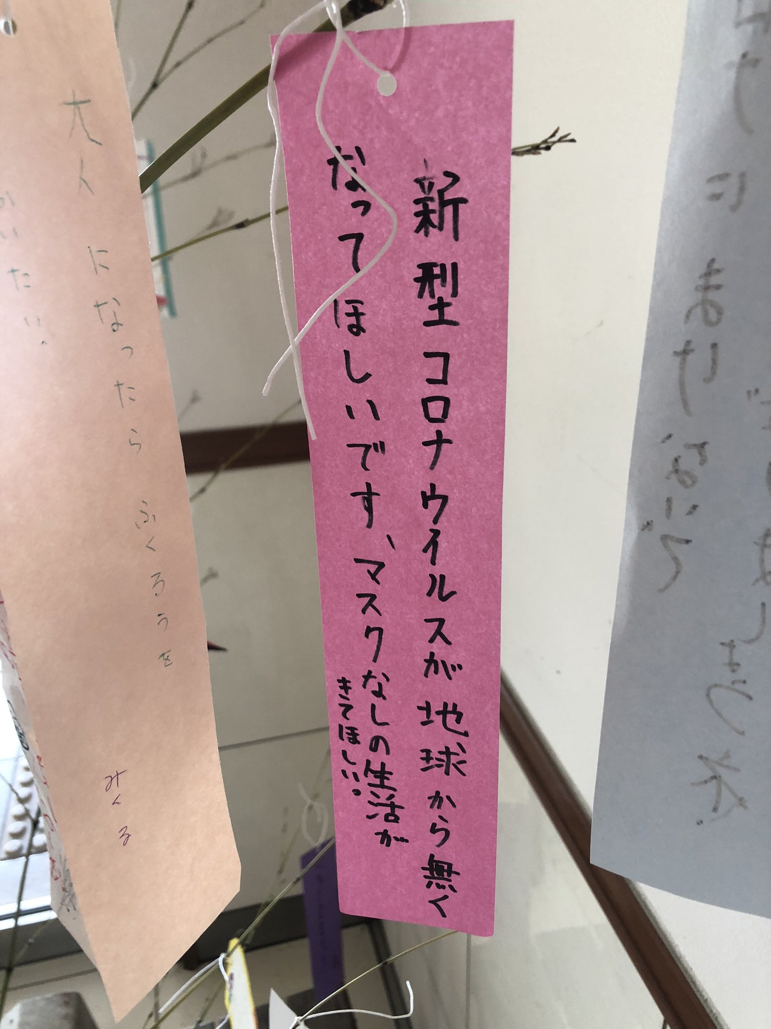 広島みなとフェスタ お絵かきコンテスト受賞作品掲載中 七夕の季節ですね 沢山の願い事が書かれた短冊 その多くは やはりこの話題 子供たちの夢がこれってのもなんだか切ない気がしますね 七夕 T Co Sbrpyygvkg Twitter