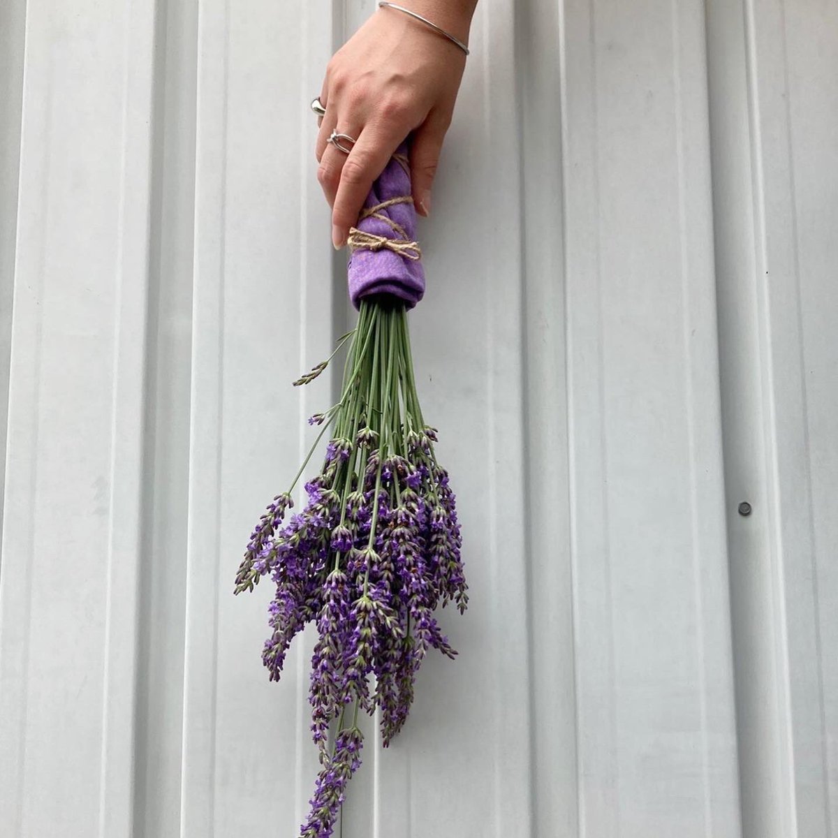 ソーイング竹内 一年の半分が過ぎましたね 梅雨でジメジメが続いて憂鬱ですが 綺麗な紫陽花やラベンダーが見ごろを迎えています 梅雨の晴れ間にラベンダーを摘んでみました 柔らかいラベンダーカラーのハンカチと共に 紫陽花 ラベンダー