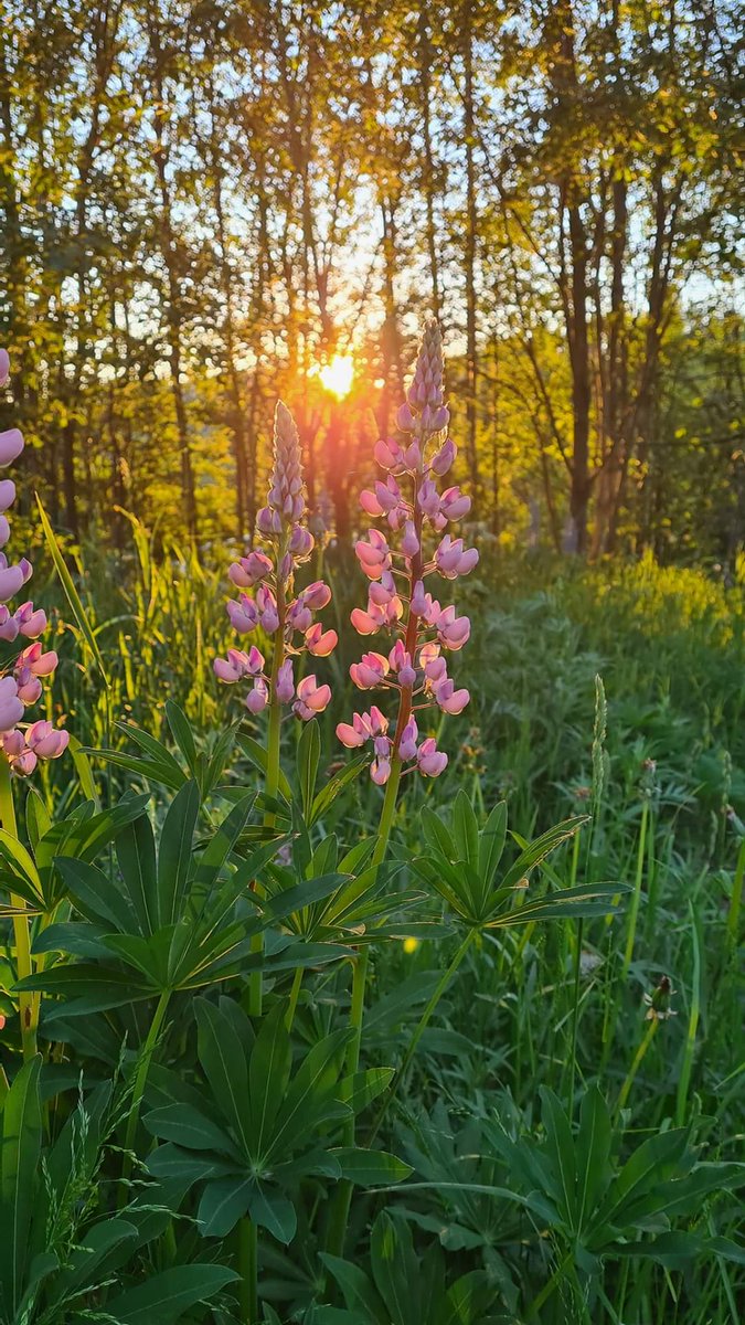 blue_saphire5's tweet image. Sometimes you just have to
turn the page
to realize that there is more
to your book of life
then the page you are stuck on Stop being afraid to move on Close this chapter of hurt
Never re-read it
Don't try to fix
what's broken in your past
Let your future creates
something better